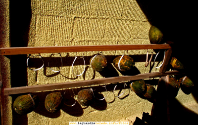8 de Octubre 2006, Melones colgados en 'la portá'.
[url=espacio.adicional] [/url]
[color=teal][i] Ya se termina el verano pero lo manchegos no queremos que sus frutos se terminen con él... [/i][/color]

[url=espacio.adicional] [/url]

Keywords: 8 de Octubre 2006, Melones colgados en 'la portá'.