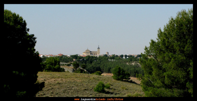 Entre pinos
Keywords: la guardia entre pinos