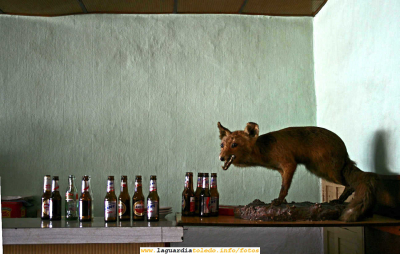 La Zorra  (6 de enero de 2007)
Desde la posición en que la véis nos ha estado observando a todos los que hemos pasado por el establecimiento público donde esta durante varias décadas. Fijaros si habrá visto cosas.... 

(Por decir alguna, al que escribe, le vió bailar por primera vez con una chica, era un baile de boda, tocaban los Lobos del Ritmo)

[img]http://www.laguardiatoledo.info/fotos/resources/logo_tupi_bn_w65_conbordes.jpg[/img]


Keywords: La Zorra