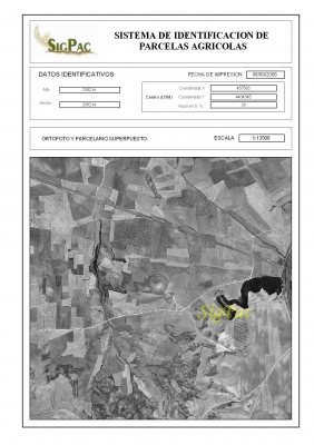 Vista del Cerro de la Atalaya hecho por fotografía aérea y de satélite
Este mapa está extraído de la web del Sigpac (Sistema de Información Geográfica de Parcelas Agrícolas) que se puede consultar en [url=http://www.jccm.es/agricul/sigpac.htm][color=navy][i][b]Web del Sigpac.[/b][/i][/color][/url].[/b]. [b]Se ruega hacer click para ver el mapa ampliado[/b]
Intenta localizar en él el propio cerro, la Autovía de Andalucía , la Carretera de Huerta y los cerros del vertedero.
[b]El Sigpac no es en color como Google Earth pero tenemos que recurrir a él porque muchas zonas del término municipal de La Guardia no están cubiertas todavía por Google Earth[/b]
