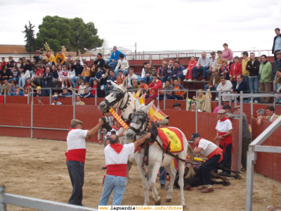 24 de Septiembre de 2006. Toros en la plaza ambulante
Enganchando las mulillas al toro muerto para sacarlo de la plaza
