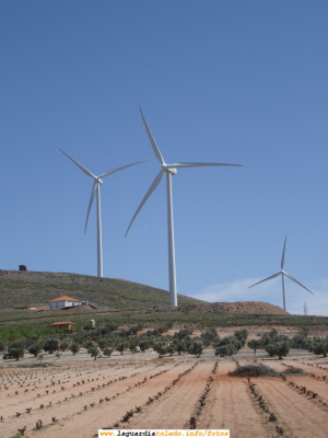 Los nuevos molinos de viento de La Mancha.
Estos molinos de viento están en la A-4 entorno al kilómetro 120 antes de llegar a Madridejos en dirección sur. Como puede verse, los [url=http://www.laguardiatoledo.info/fotos/displayimage.php?pos=-3600][color=blue][b][i]ancestrales molinos de viento[/color][/i][/b][/url] de La Mancha que servían para moler el grano y producir harina están sustituyéndose por molinos de viento de última generación que sirven para generar energía eléctrica.
Según la Wikipedia, Un molino es un artefacto o máquina que sirve para moler. Su origen es antiguo.
Por extensión, el término molino se aplica vulgarmente a los mecanismos que utilizan la fuerza del viento para mover otros artefactos, tales como una bomba hidráulica o un generador eléctrico. Este es caso de los molinos de la imágen.
La finalidad tanto de unos como de otros es usar la fuerza del viento para generar productos de primera necesidad (la harina y la energía eléctrica)
Todavía más cerca de La Guardia, en el Romeral tenemos más ejemplos de molinos nuevos:
 [url=http://www.laguardiatoledo.info/fotos/displayimage.php?pos=-8][color=blue][b][i]Molinos de viento de El Romeral I[/color][/i][/b][/url]
 [url=http://www.laguardiatoledo.info/fotos/displayimage.php?pos=-2259][color=blue][b][i]Molinos de viento de El Romeral II[/color][/i][/b][/url]
[url=http://www.redajo.com/redajoblog/?p=623][color=blue][b][i]El Molino de la Unión de Camuñas (Toledo) gentileza de www.erasemipueblo.com[/color][/i][/b][/url]



