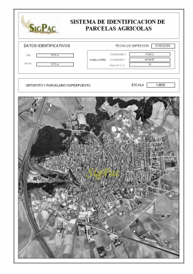 Panorámica del pueblo desde el aire, hecho por fotografía aérea y de satélite
Este mapa está extraído de la web del Sigpac (Sistema de Información Geográfica de Parcelas Agrícolas) que se puede consultar en [url=http://www.jccm.es/agricul/sigpac.htm][color=navy][i][b]Web del Sigpac.[/b][/i][/color][/url].[/b]. [b]Se ruega hacer click para ver el mapa ampliado[/b]

