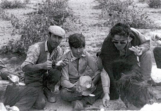 La vendimia
Vendimia 1976, en el Batán. Francisco Hijosa, Jose luis Zamorano y Manolo Zamorano
Keywords: vendimia 