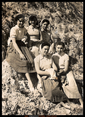  Cerro del Sto Niño
Cuadrilla de mozas en el cerro del Sto Niño.
Esta foto esta tomada a finales de los años 50, se ve a las jóvenes que todas llevan faldas de tablas. Eran faldas de tergal, que por mucho que se lavaban y pasara el tiempo por ellas siempre estaban igual, como recién estrenadas, se pasaban de una hermana a otra impecables.  
EL CURSO DE LA VIDA: La juventud y los amigos

Asunción (Chon), Lola (mujer de rito), Vicenta Román, Concha Peláez y Estefa Román. 

Keywords: Cuadrilla de mozas  faldas de tergal