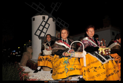 Carroza de Reina y damas manchegas 2010
FIESTAS, CELEBRACIONES Y TRADICIONES: -> Fiestas de Castilla La Mancha
