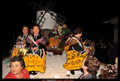 Carroza de Reina y damas manchegas 2010
FIESTAS, CELEBRACIONES Y TRADICIONES: Fiestas de Castilla la MAncha
