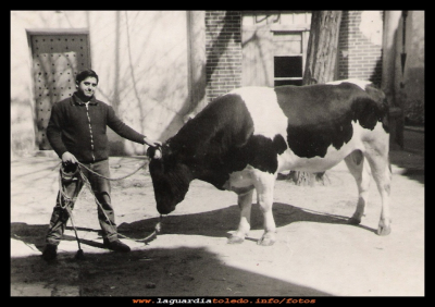  El toro
Jose y el toro, no es que quisiera ser  torero, sino que este ejemplar iba al matadero. Años 60.

Keywords: Jose y el toro