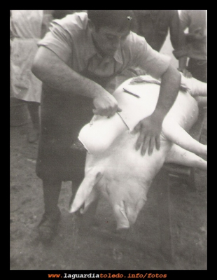 La matanza
La matanza, José (el carnicero) pelando un cerdo. Años 70. 
Keywords: pelando un cerdo