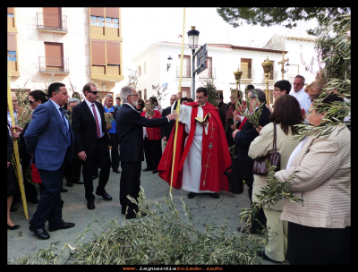 Las palmas
Domingo de Ramos (29-3-2015)
Keywords: Domingo de Ramos