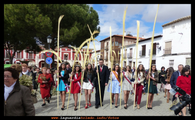 Domingo de Ramos II
Corte de honor 2015 con las palmas, en la procesión del domingo de ramos 20-3-2016
Keywords: Semana Santa 2016