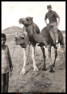 Rufino Cabello
Rufino Cabello  “El chulin” en el Sahara haciendo el servicio militar 1959.
Keywords:  Sahara  servicio militar