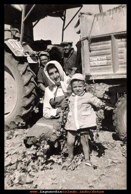 Vendimia
Vendimia 1960, en la casa de Pepe Guzmán, en la foto: el tractorista Tomás, al lado Faustino Ruiz Muñoz y Tere Soriano con el niño Rafael de la Mata.
Keywords: Vendimia 1960