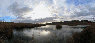Fotos panorámicas de la laguna del avistadero de aves
