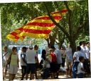 bandera catalana1_lgt.jpg