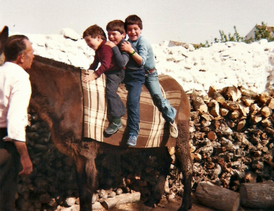 Hermanos Alejandro, Roberto y Mario Fernandez Mascaraque
Una mañana con nuestro abuelo Orosio Mascaraque, montandonos en su mula, su compañera de trabajo.

