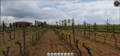 bodegas_martue_2_480_360.jpg