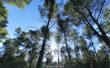 la-tierra-del-conde_360.jpg