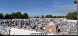 panoramica_cementerio_1_360.jpg